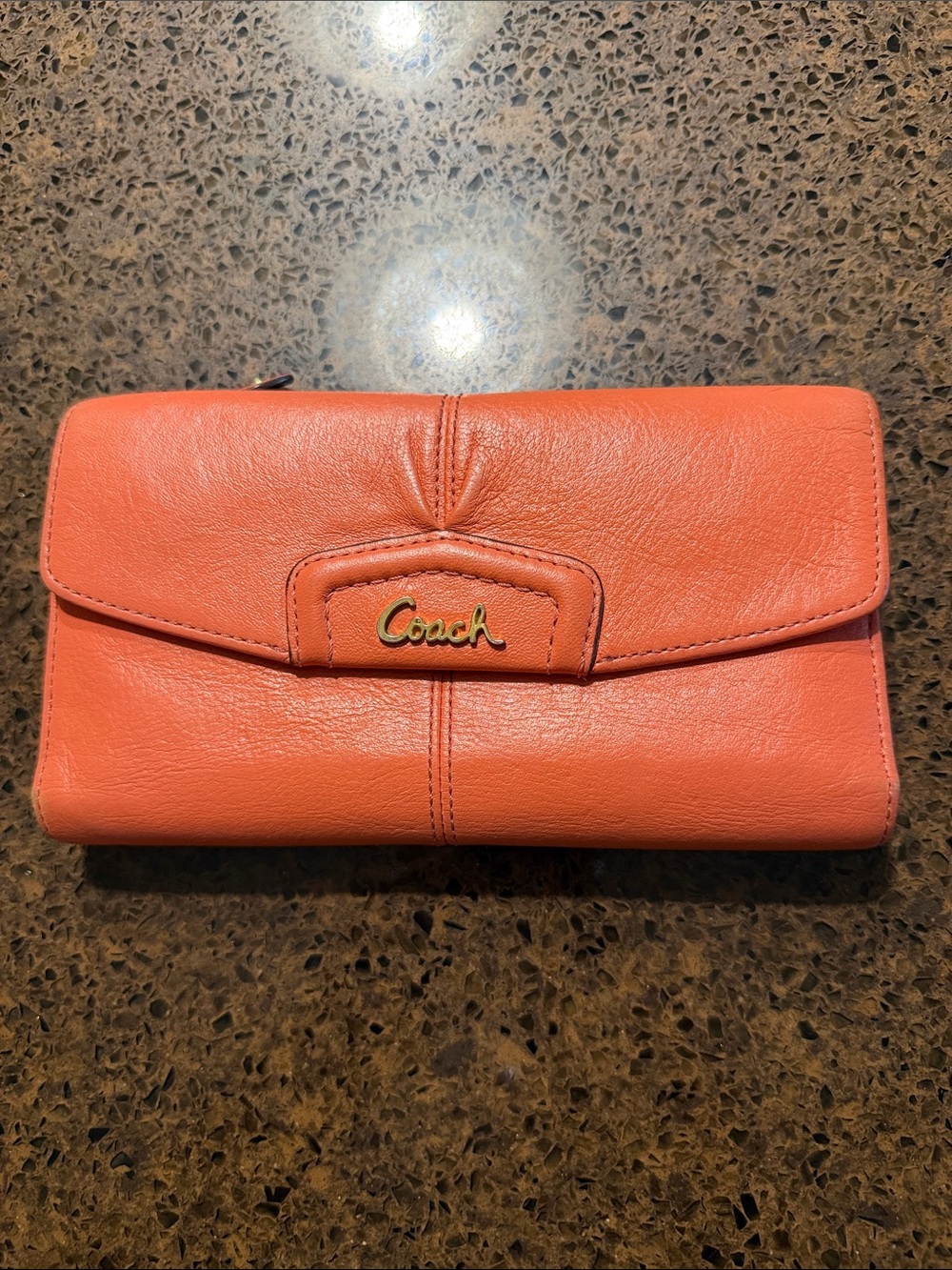 Coach Ashley leather checkbook wallet
